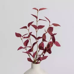 Online Burgundy Leaves Stems, Set of 2 Stems & Bouquets