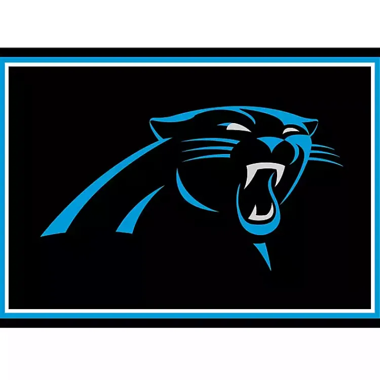 Kirklands Home Area Rugs|Carolina Panthers Area Rug, 3x4 Black