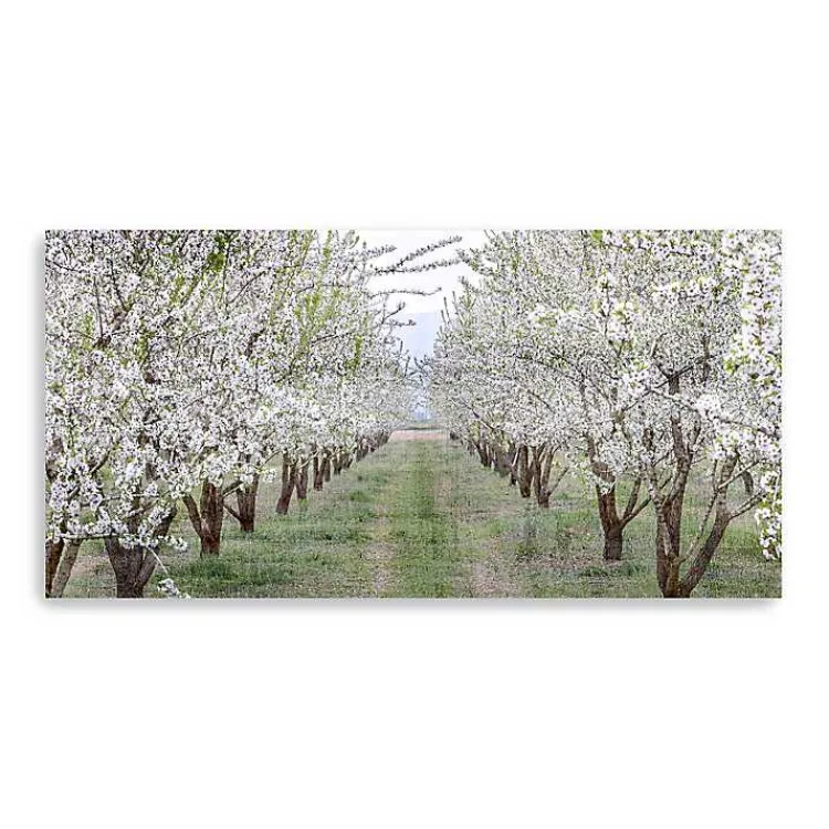 Kirklands Home Canvas Art|Countryside Path Canvas Art Print