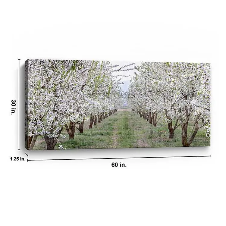 Kirklands Home Canvas Art|Countryside Path Canvas Art Print