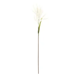 New Cream Astible Stems, Set of 6 Stems & Bouquets