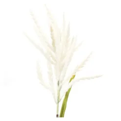 New Cream Astible Stems, Set of 6 Stems & Bouquets