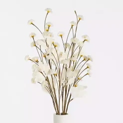 New Cream Everlasting Flower Stems, Set of 2 Stems & Bouquets