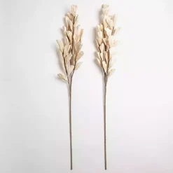 Sale Cream Shell Leaf Stem Stems & Bouquets