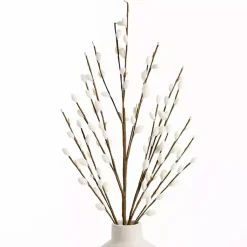 Sale Cream Willow Stems, Set of 3 Stems & Bouquets