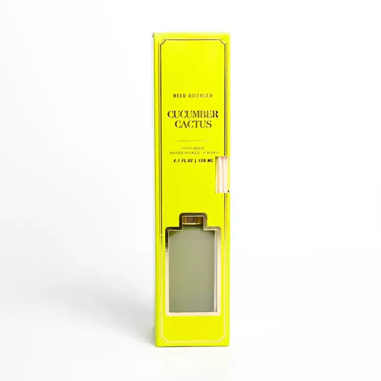 Hot Cucumber Cactus Diffuser Set Home Fragrance