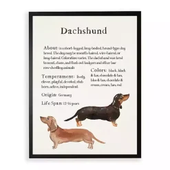 Kirklands Home Wall Quotes & Signs|Dachshund Facts Framed Wall Plaque