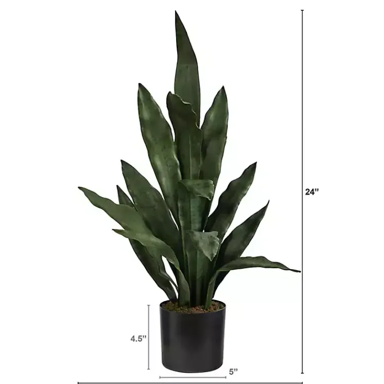 Dark Sansevieria in Nursery Planter, 24 in. Arrangements & Greenery