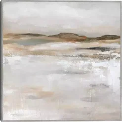 Kirklands Home Canvas Art|Desert Floor Framed Canvas Art Print Gray