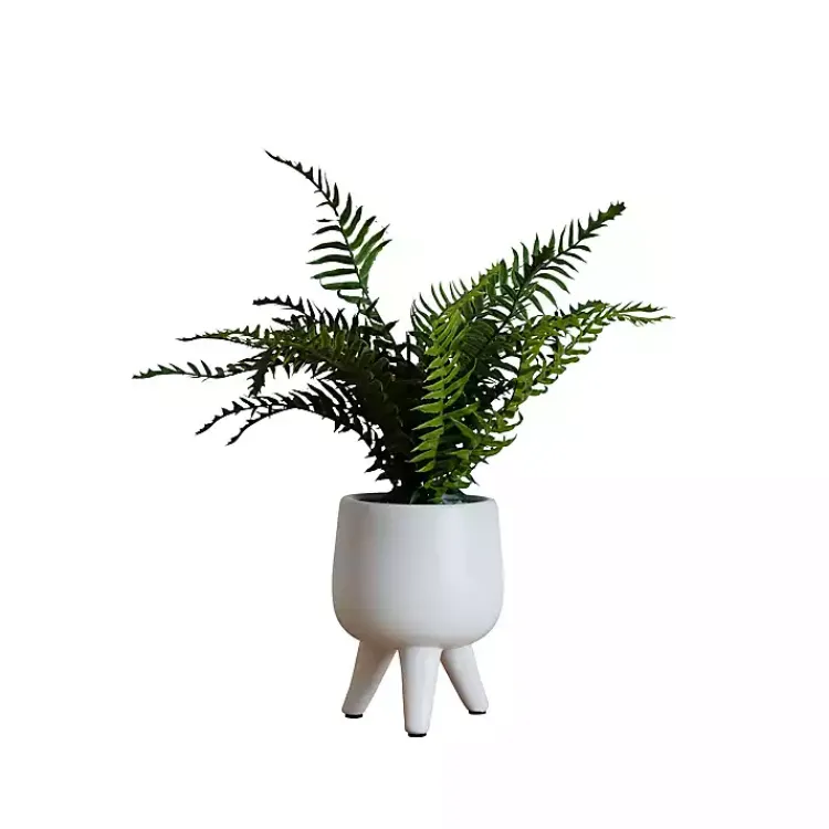 Outlet Desktop Palm Plant in White Planter Arrangements & Greenery