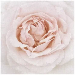 Kirklands Home Canvas Art|Dewdrop Rose Canvas Art Print Pink