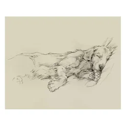 Kirklands Home Canvas Art|Dog Days III Canvas Art Print