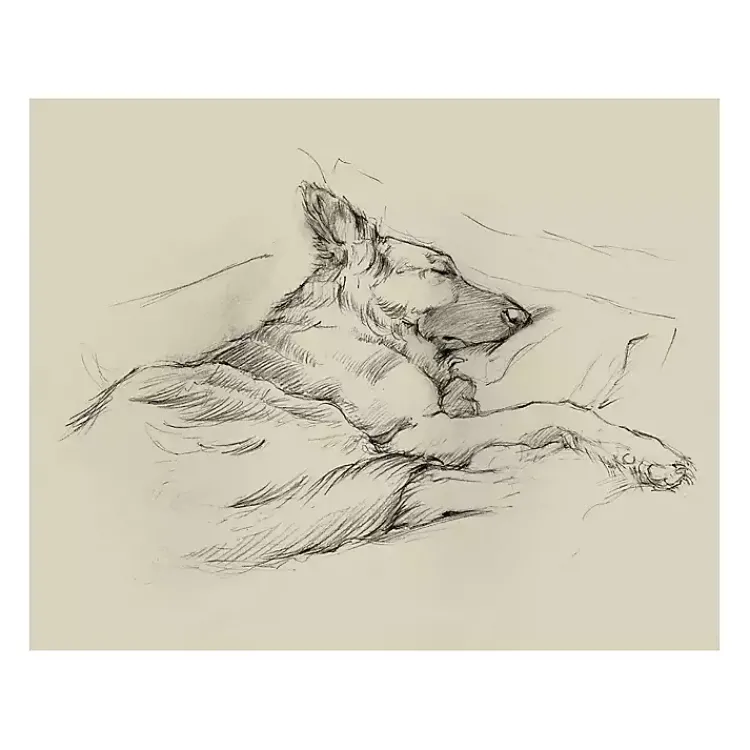 Kirklands Home Canvas Art|Dog Days IV Canvas Art Print