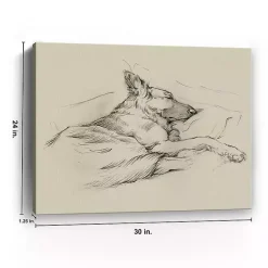 Kirklands Home Canvas Art|Dog Days IV Canvas Art Print