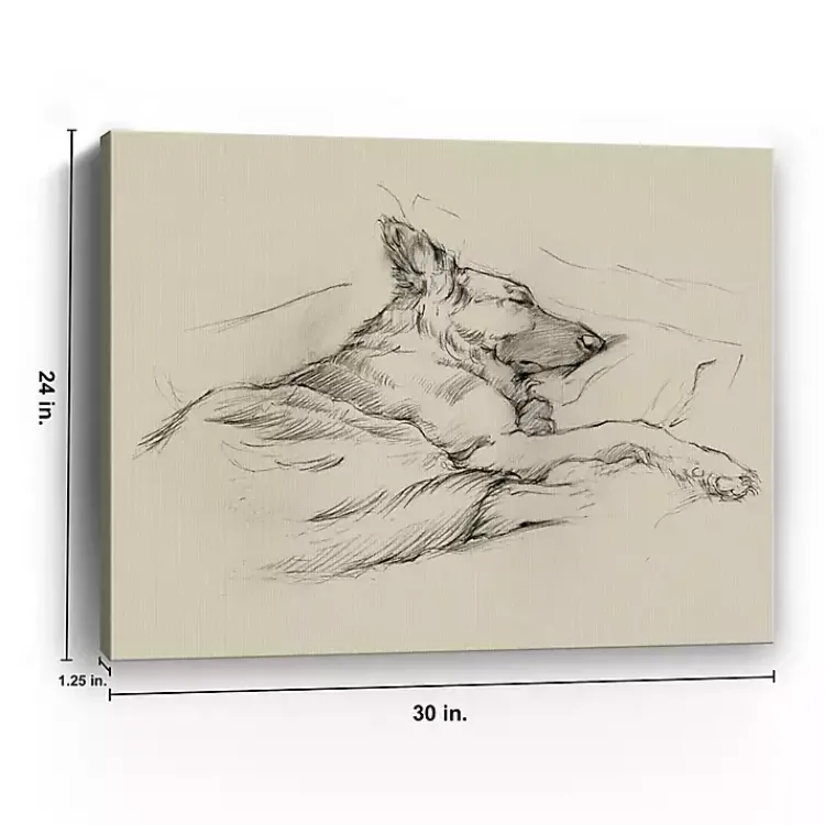 Kirklands Home Canvas Art|Dog Days IV Canvas Art Print