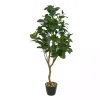 New Douban Green in Ribbed Rock Planter Trees & Topiaries