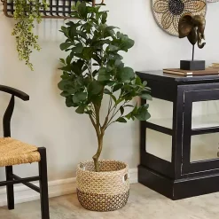 New Douban Green in Ribbed Rock Planter Trees & Topiaries