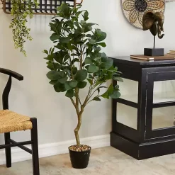 New Douban Green in Ribbed Rock Planter Trees & Topiaries