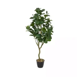 New Douban Green in Ribbed Rock Planter Trees & Topiaries
