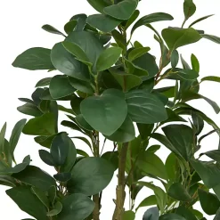 New Douban Green in Ribbed Rock Planter Trees & Topiaries