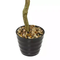 New Douban Green in Ribbed Rock Planter Trees & Topiaries