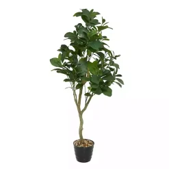 New Douban Green in Ribbed Rock Planter Trees & Topiaries