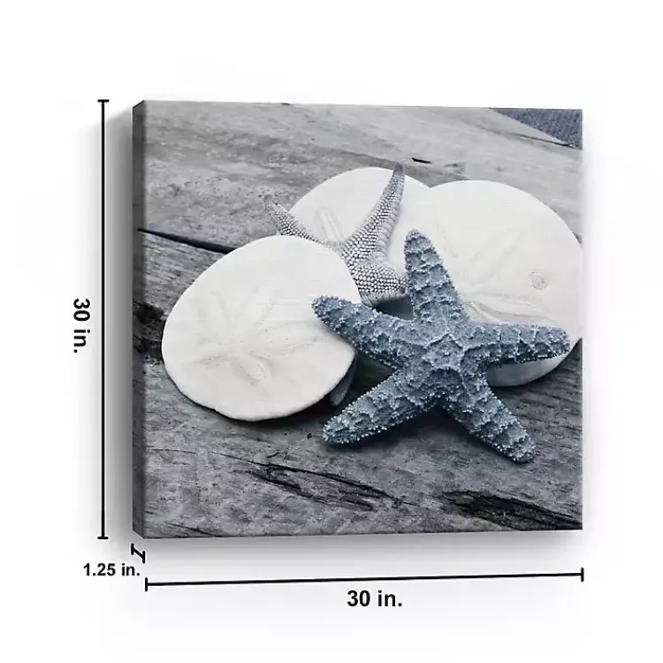 Kirklands Home Canvas Art|Driftwood Shell IV Canvas Art Print, 30x30 in.