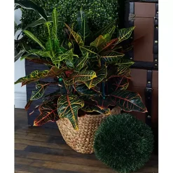 Outlet Dutch Woven Seagrass Baskets, Set of 4 Baskets & Boxes