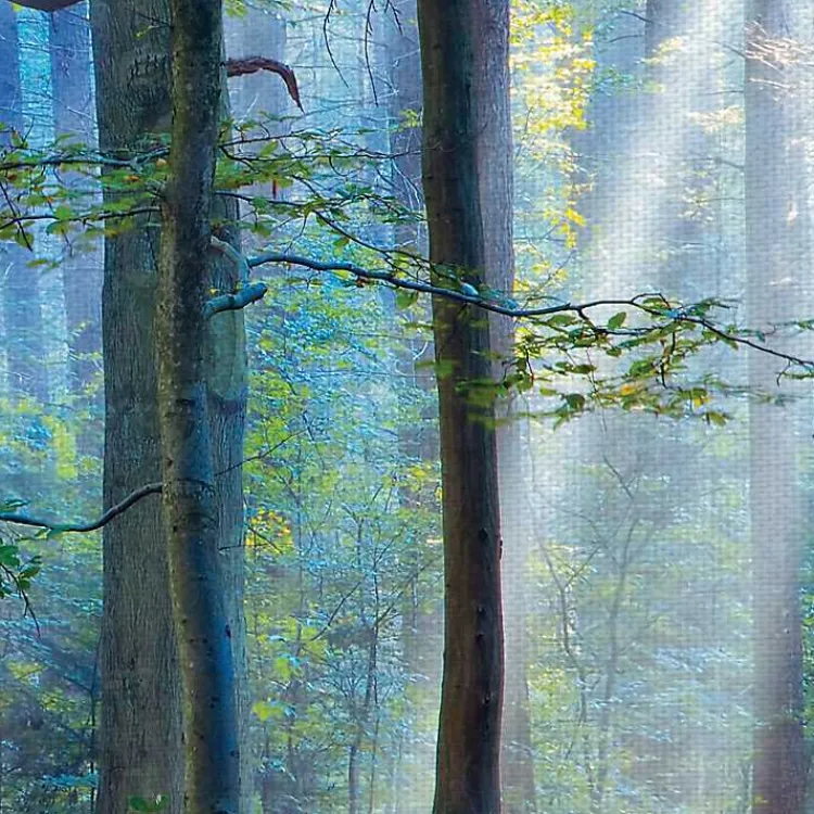 Kirklands Home Canvas Art|Enchanted Forest Canvas Print by Lars Van De Goor