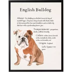 Kirklands Home Wall Quotes & Signs|English Bulldog Facts Framed Wall Plaque