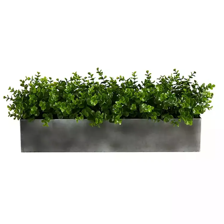 Online Eucalyptus Arrangement in Gray Planter Box Arrangements & Greenery