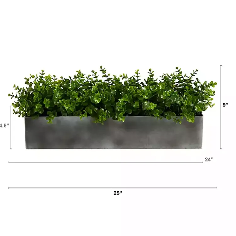 Online Eucalyptus Arrangement in Gray Planter Box Arrangements & Greenery