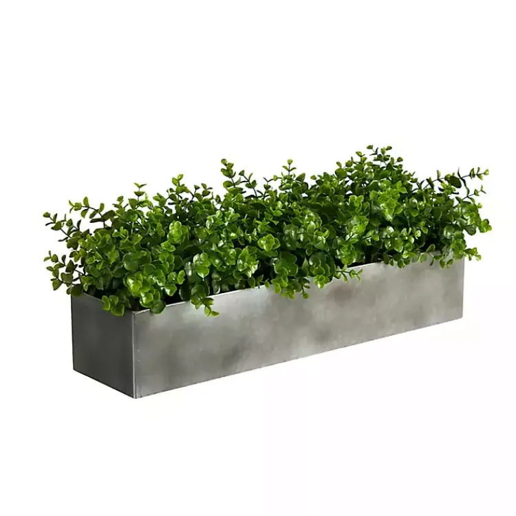 Online Eucalyptus Arrangement in Gray Planter Box Arrangements & Greenery