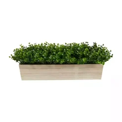 New Eucalyptus Arrangement in Wide Wooden Planter Arrangements & Greenery