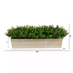 New Eucalyptus Arrangement in Wide Wooden Planter Arrangements & Greenery