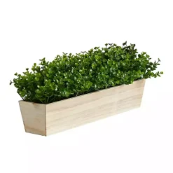 New Eucalyptus Arrangement in Wide Wooden Planter Arrangements & Greenery
