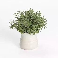 Outlet Eucalyptus ery Arrangement Arrangements & Greenery