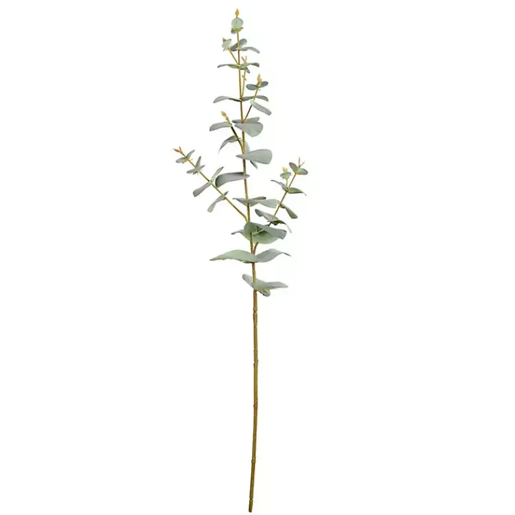 Online Eucalyptus Sprays, Set of 3 Stems & Bouquets