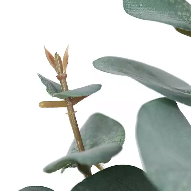 Online Eucalyptus Sprays, Set of 3 Stems & Bouquets