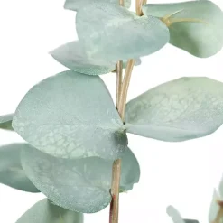 Online Eucalyptus Sprays, Set of 3 Stems & Bouquets