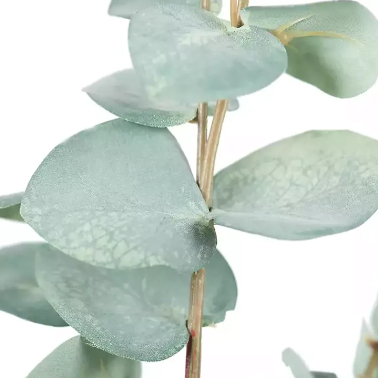 Online Eucalyptus Sprays, Set of 3 Stems & Bouquets