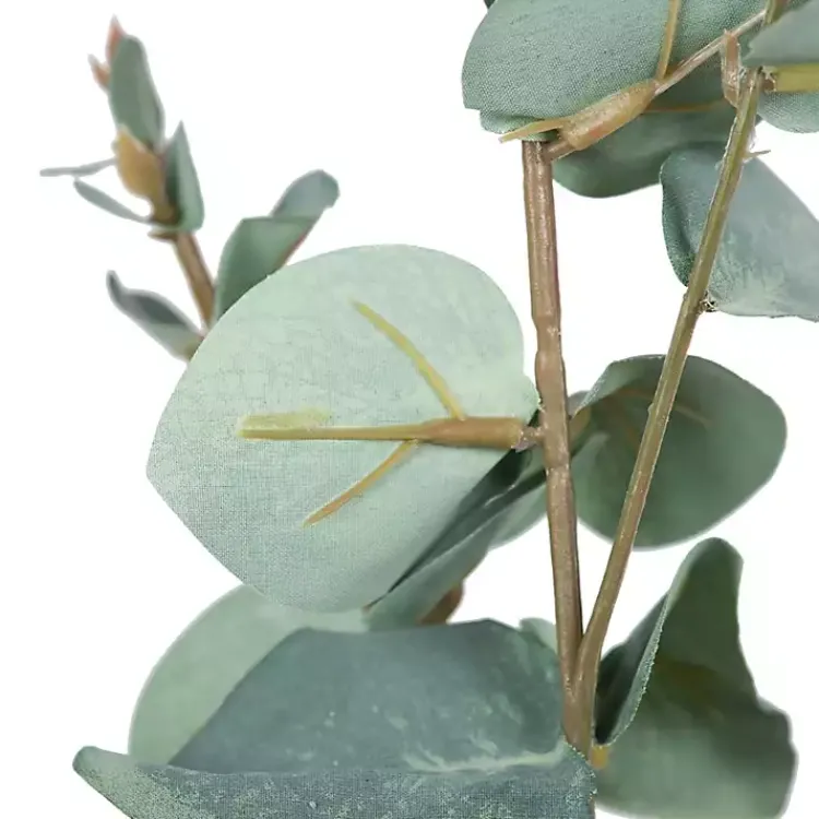 Online Eucalyptus Sprays, Set of 3 Stems & Bouquets