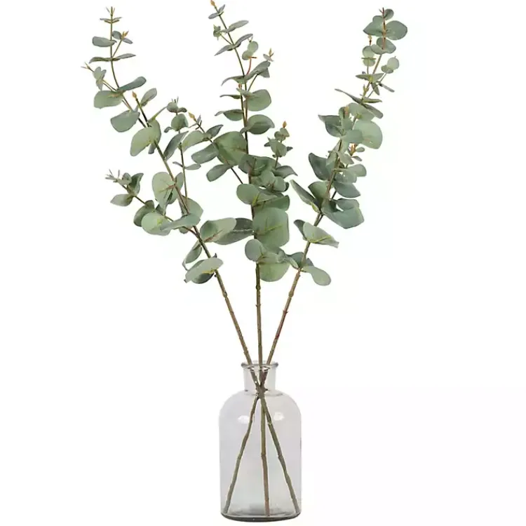 Online Eucalyptus Sprays, Set of 3 Stems & Bouquets