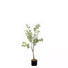 Online Eucalyptus Tree in Black Pot, 4 ft. Trees & Topiaries