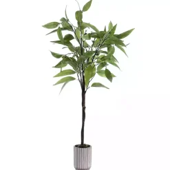 New Eucalyptus Tree in Stripped Pot Trees & Topiaries