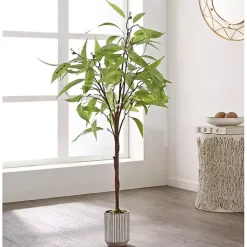 New Eucalyptus Tree in Stripped Pot Trees & Topiaries