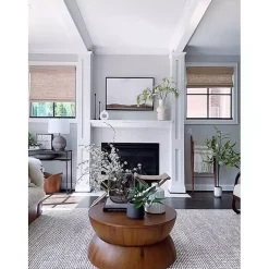 New Eucalyptus Tree in Stripped Pot Trees & Topiaries