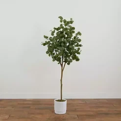 Online Eucalyptus Tree in White Planter, 6 ft. Trees & Topiaries