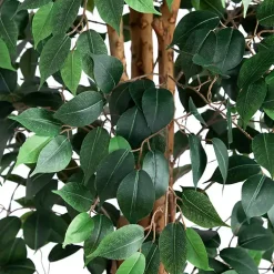 New Faux Ficus Tree, 9 ft. Trees & Topiaries