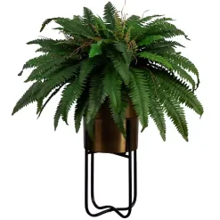 New Fern in Gold Metal Planter Arrangements & Greenery